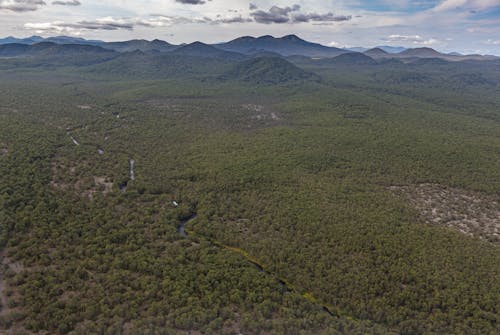 Aerial View of a Valley Covered in a Forest and Mountains in Distance