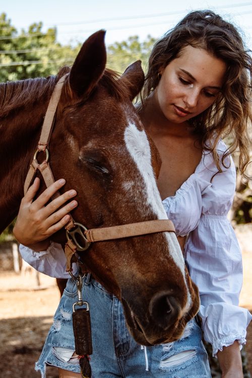 Free A young woman in casual clothing lovingly pets a brown horse on a sunny day. Stock Photo