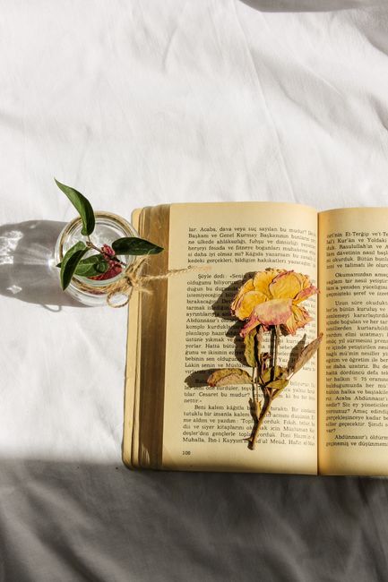 Open book with a dried flower and small vase on a white surface under sunlight.