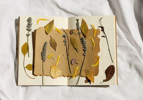 pressed flowers