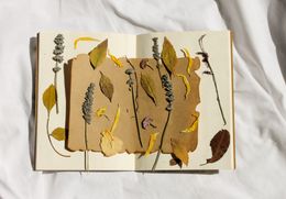 Dried flowers and leaves laid across an open notebook — photo by Feyza Tuğba on Pexels