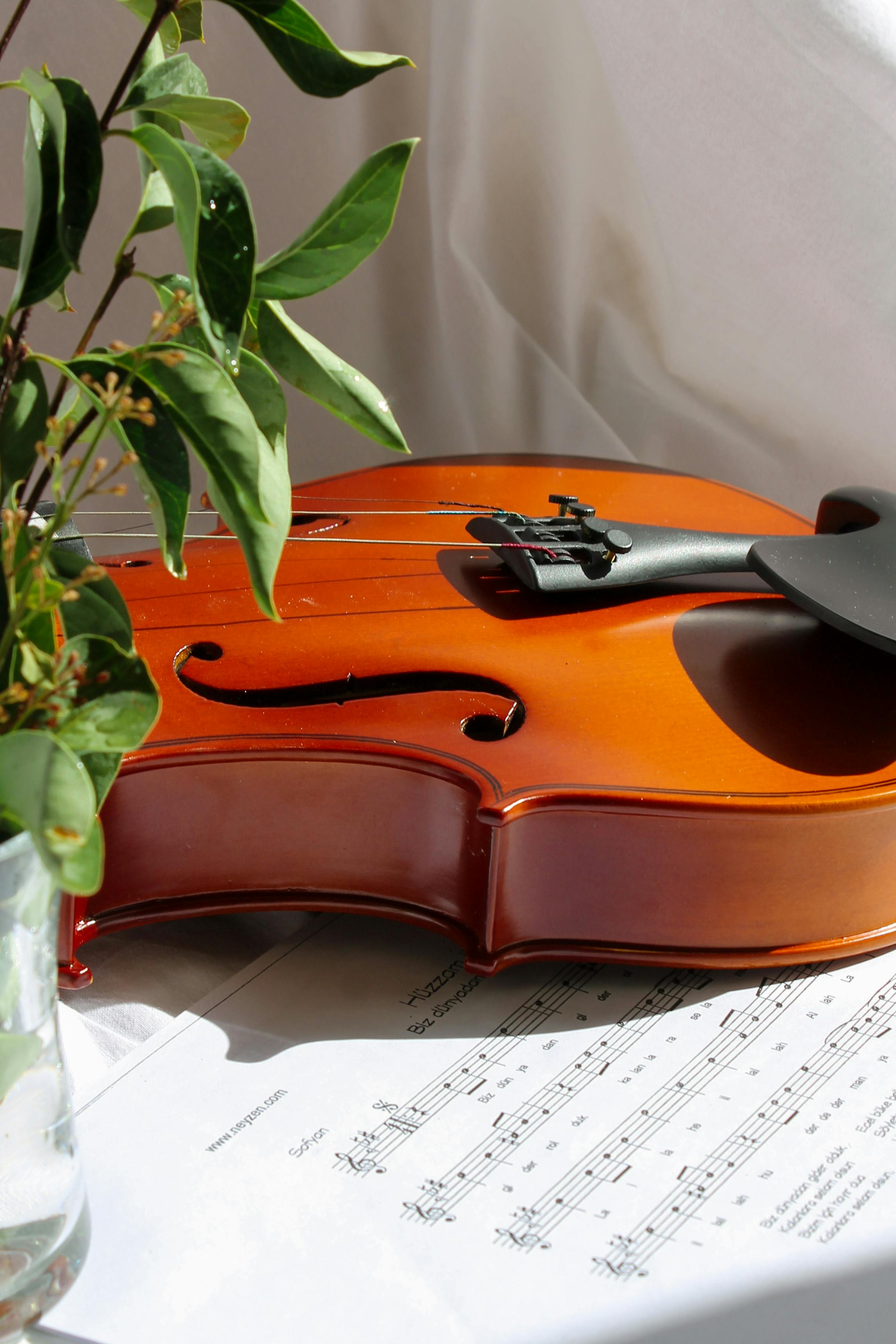 Close-up image of a violin resting on sheet music, complemented by vibrant green leaves.