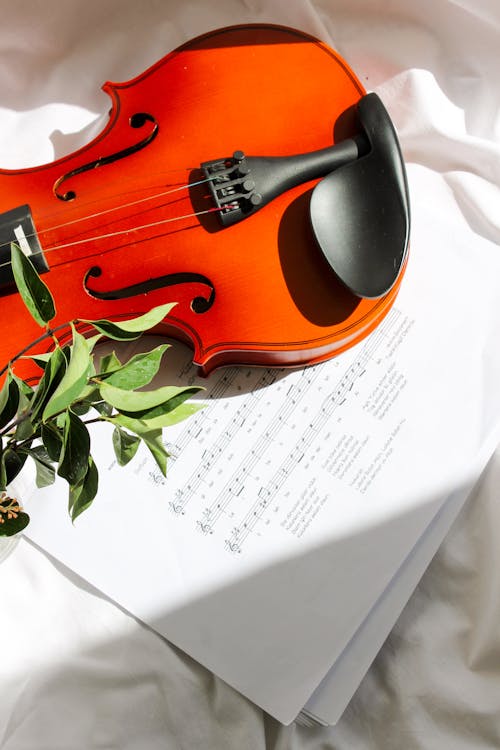 Free Fiddles and Music Sheets  Stock Photo