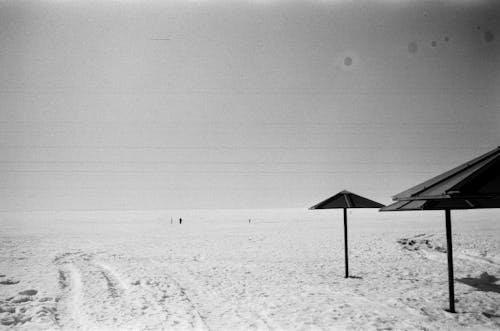 Foto d'estoc gratuïta de blanc i negre, escala de grisos, hivern