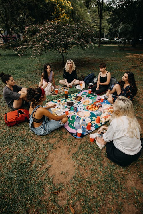 Group of People Having a Picnic on Grass Field 