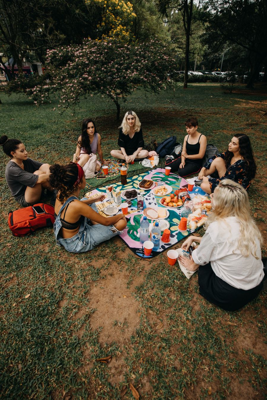 A group of friends sharing a picnic on a grassy field — photo by Matheus Bertelli on Pexels