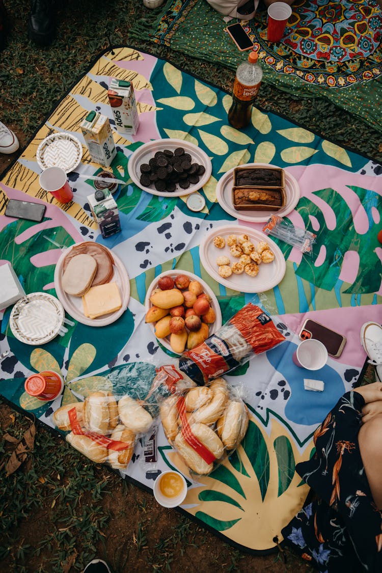 Picnic Food On Colourful Blanket