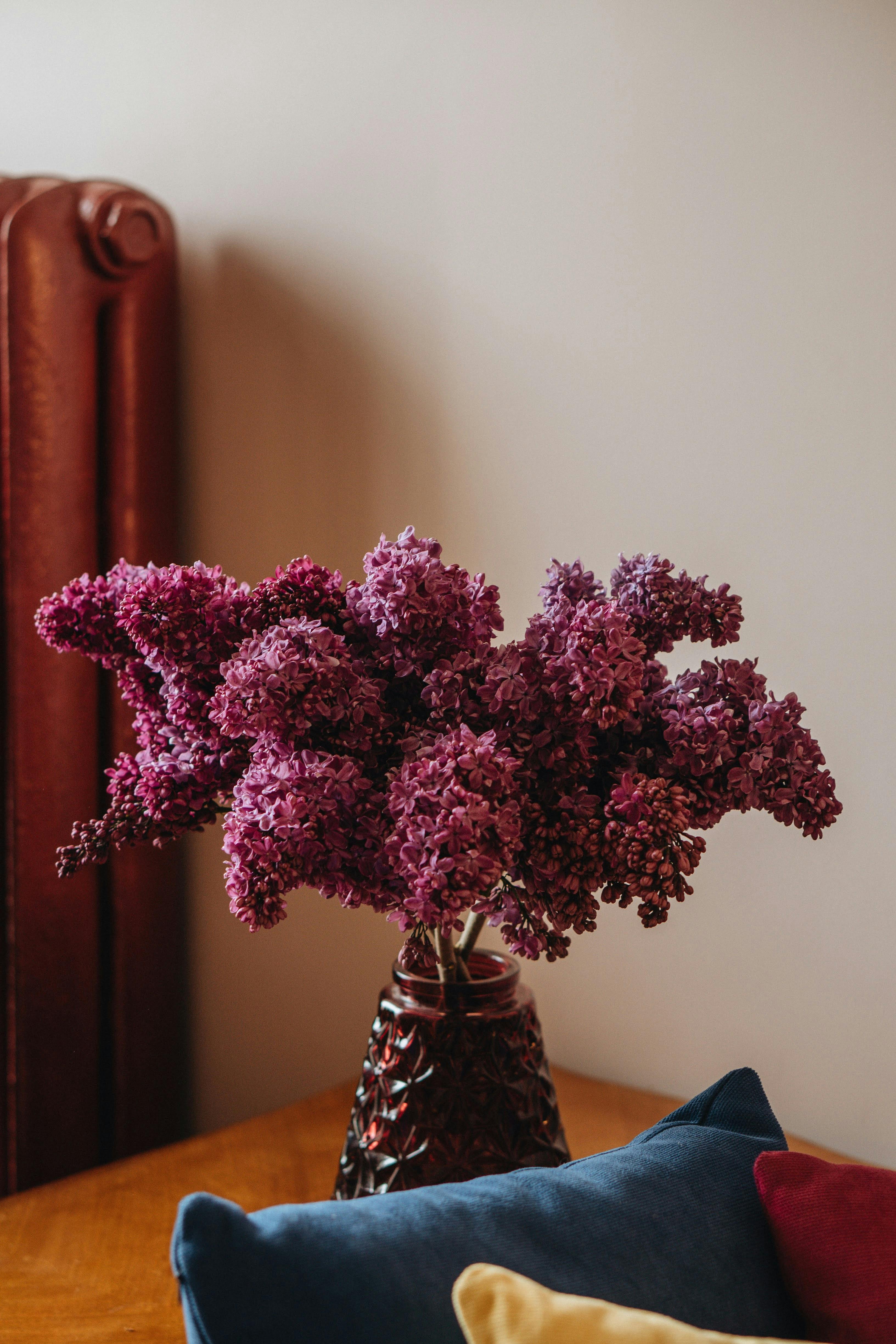 Flores Lilas Moradas En Un Jarrón Blanco · Foto de stock gratuita