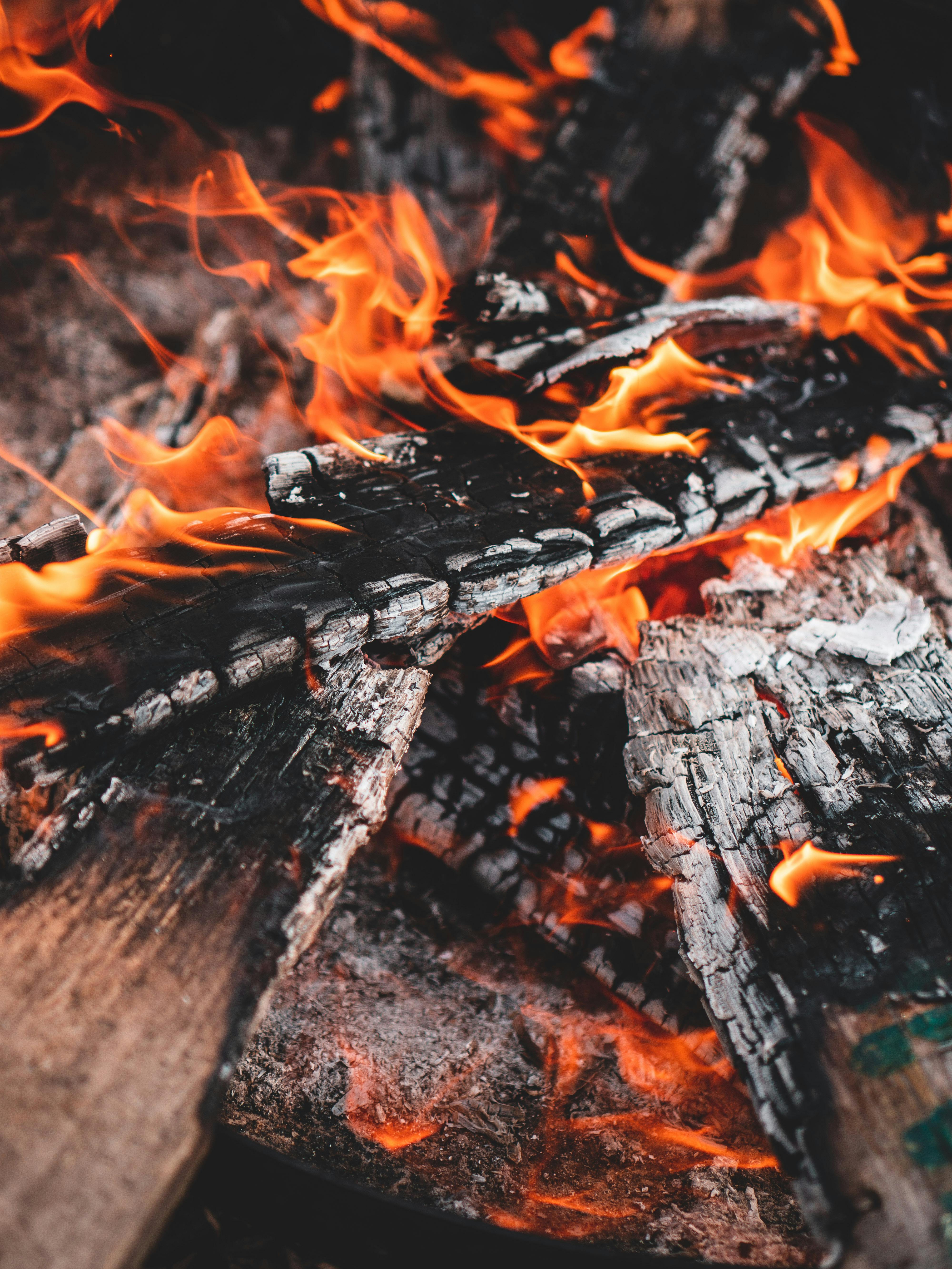 Rising From The Ashes Ebook