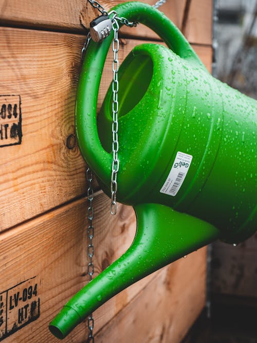 A Green Watering Can
