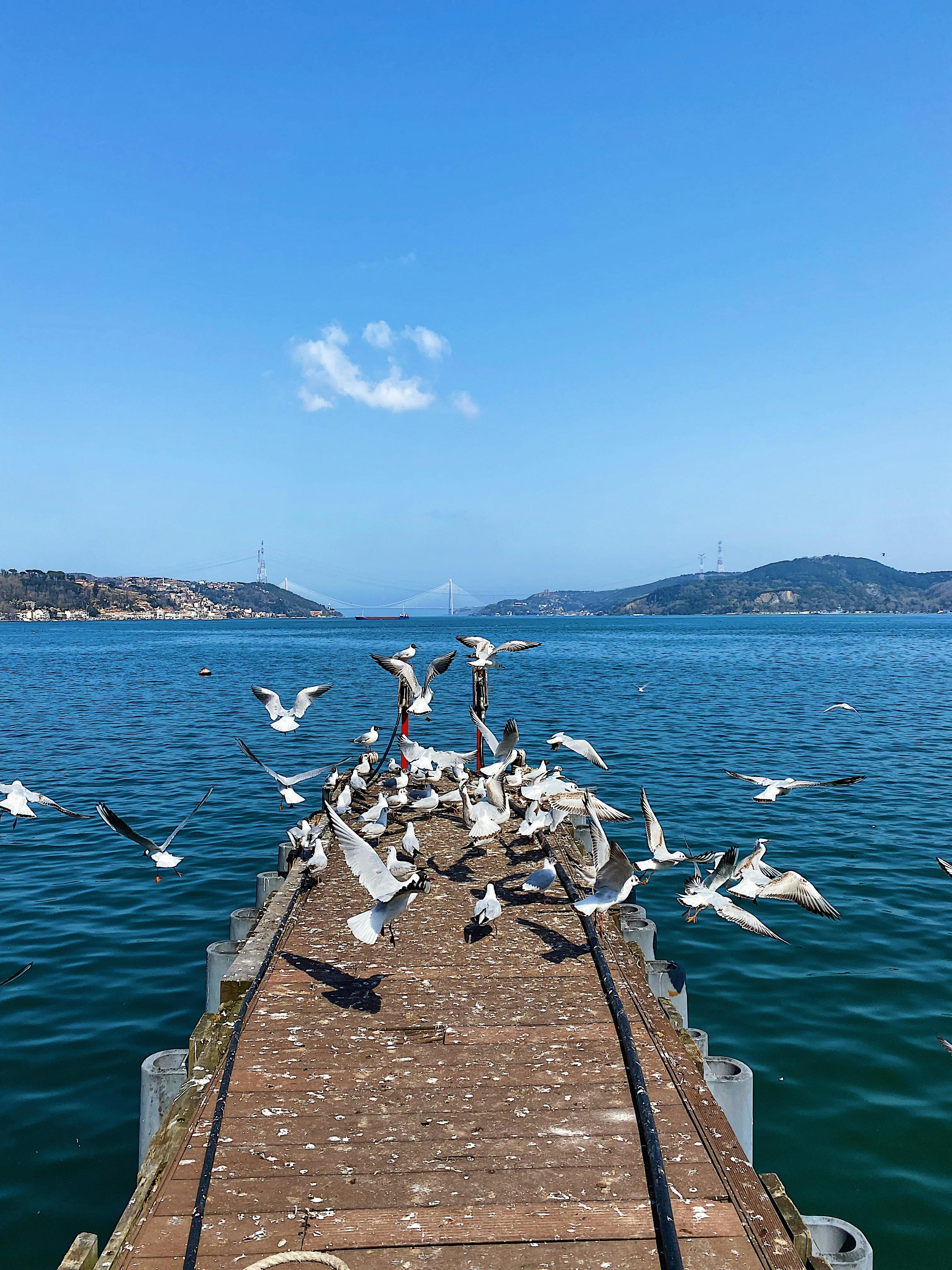 Blue Hills Photos, Download The BEST Free Blue Hills Stock Photos & HD