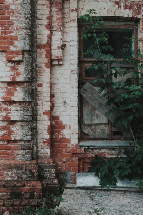 Free An old brick building with boarded window and plants growing, portraying decay. Stock Photo