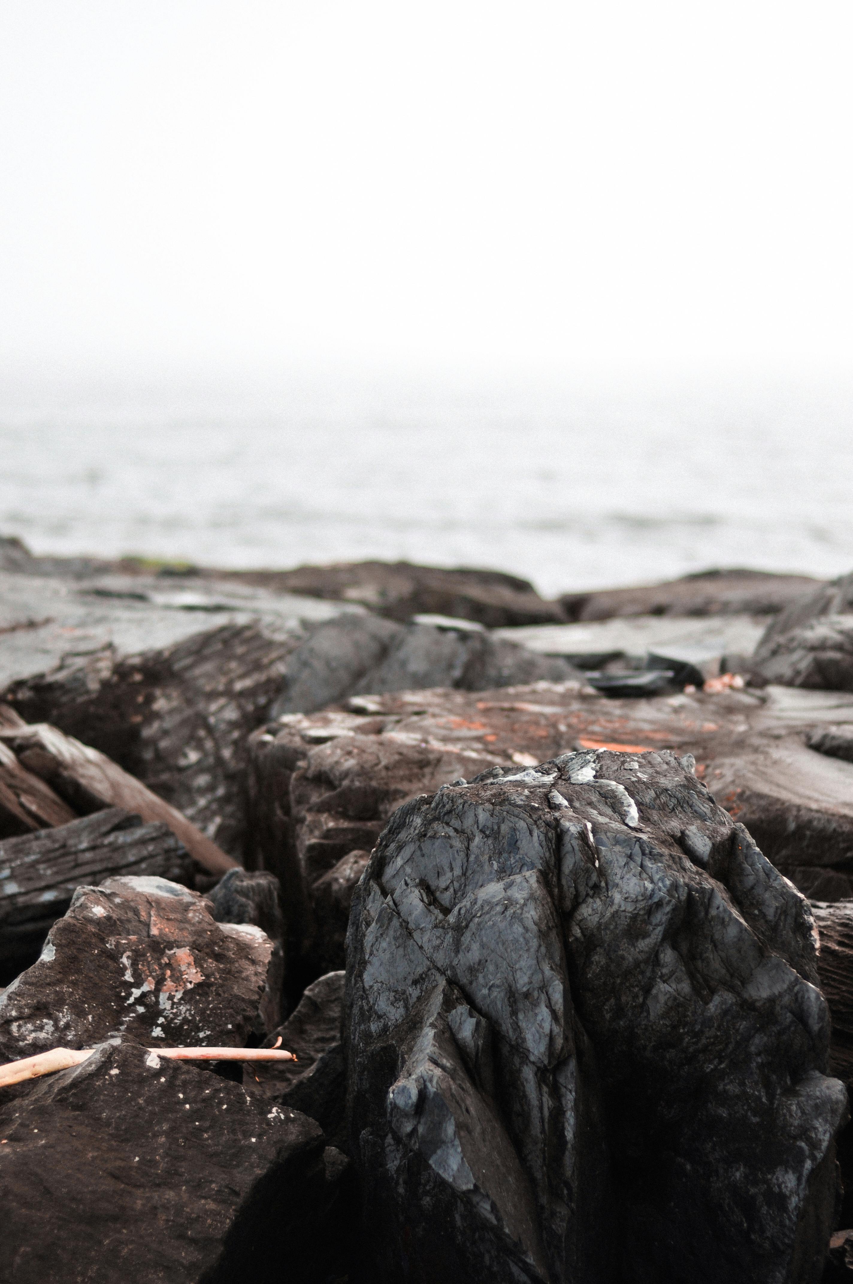 Close-Up Shot of Green Moss on Black Rock · Free Stock Photo