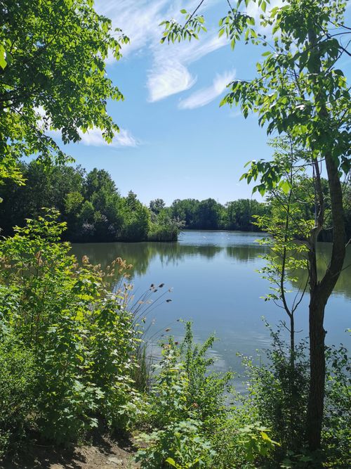 Free Peaceful lakeside scene with lush greenery and blue sky in Montreal, Canada. Stock Photo
