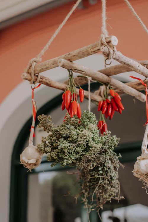 Free A rustic arrangement of red chili peppers, garlic, and herbs hanging from wooden frame. Stock Photo