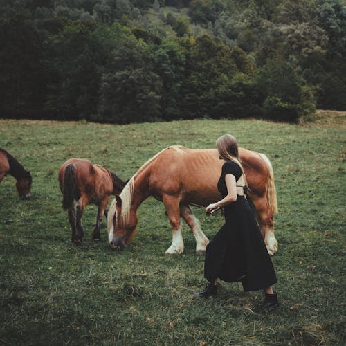 Women in Black Dress Walking Among Brown Horses