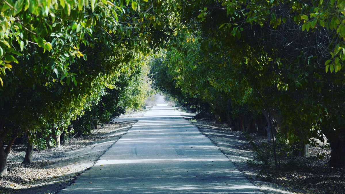 How to Enter Grocery Giveaways in Bakersfield, California Without Scams