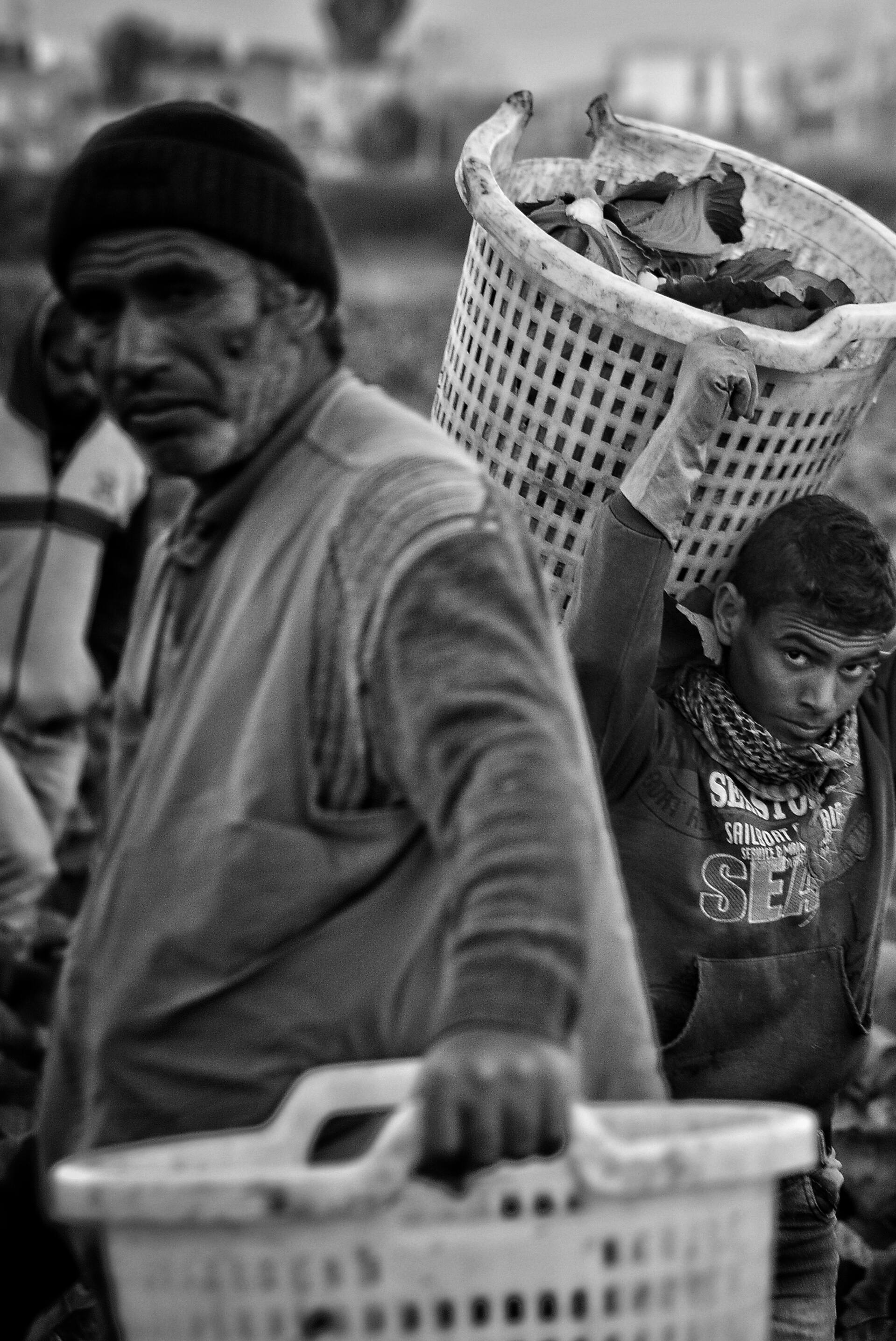 Monochrome Photo of People doing Manual Labor · Free Stock Photo