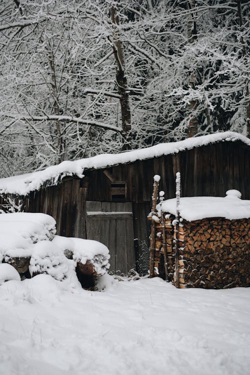Foto profissional grátis de cabana, casa de madeira, coberto de neve