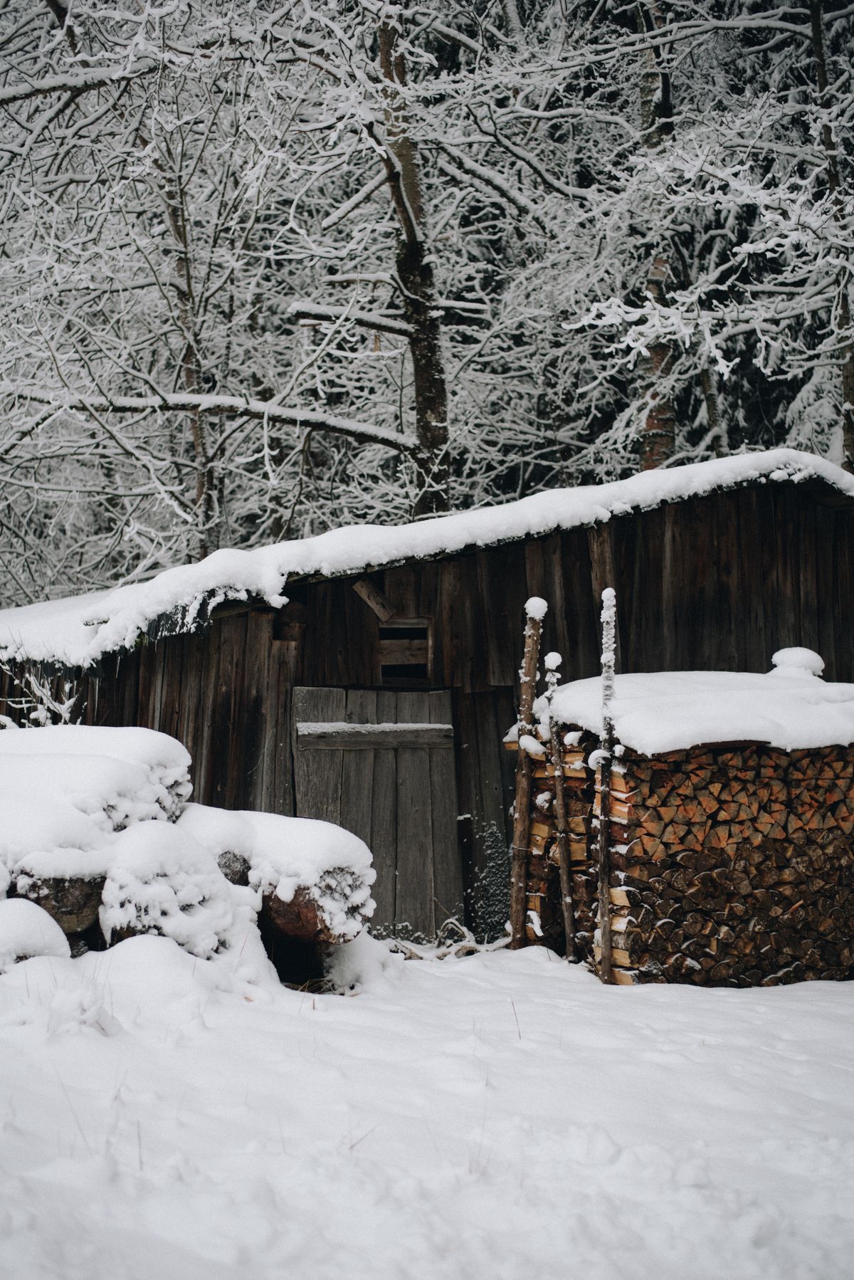 Cabaña de madera en exterior invernal
