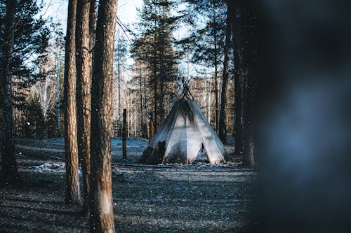 Abandoned Tent in a Forest