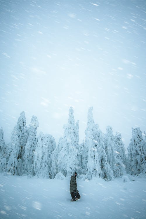 Person standing on a Snow Covered Land 