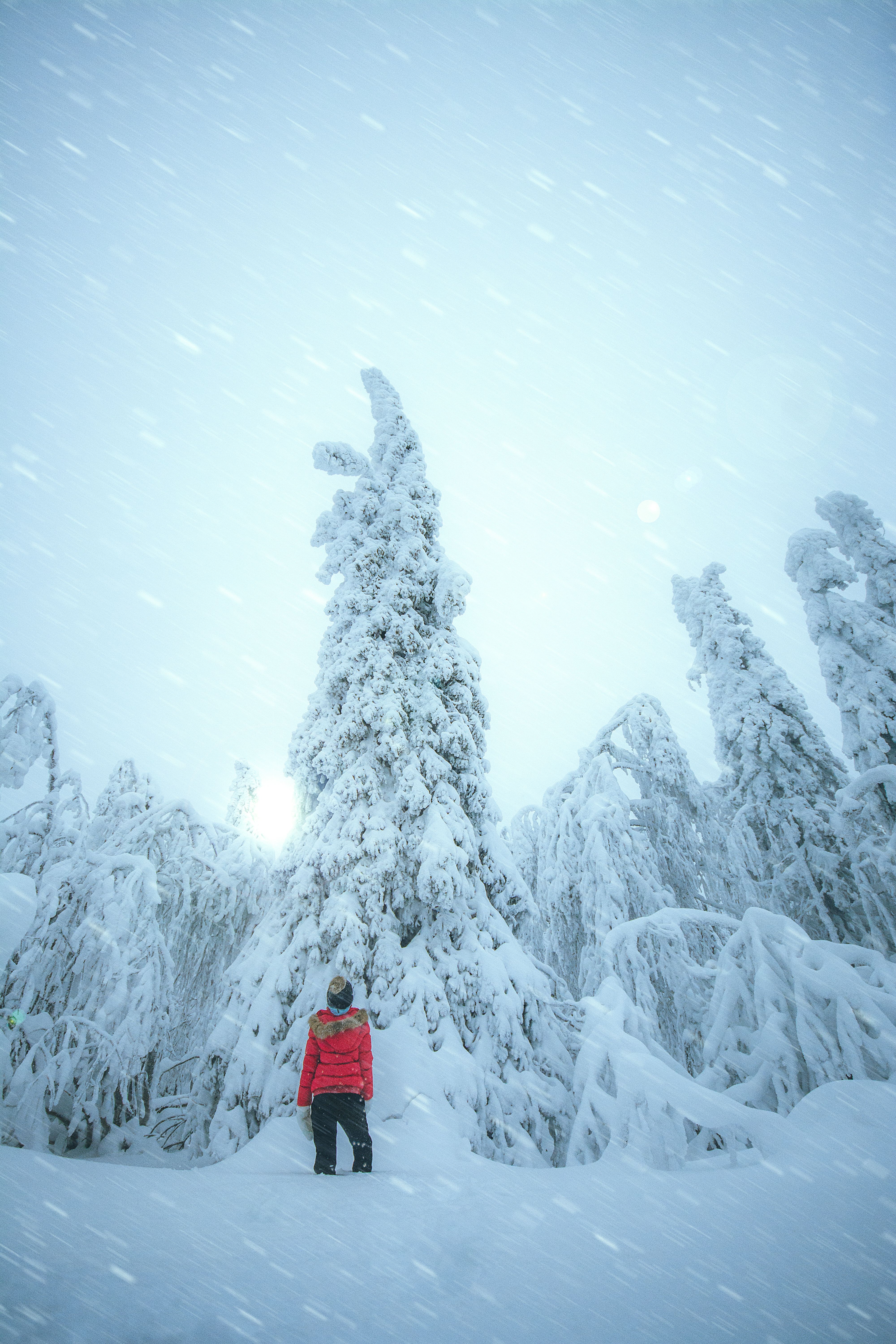 Person in Red Jacket Standing on Snow Covered Ground · Free Stock Photo