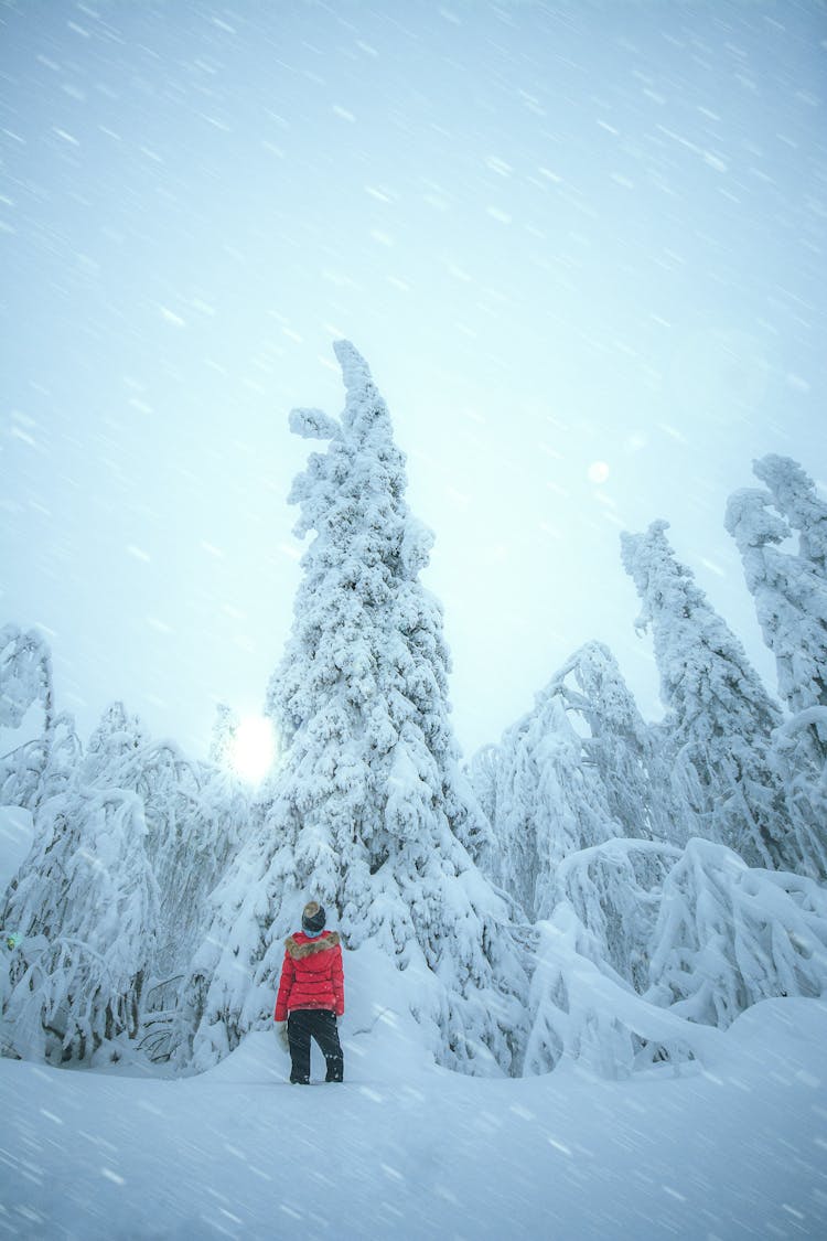 Person In Red Jacket Standing On Snow Covered Ground