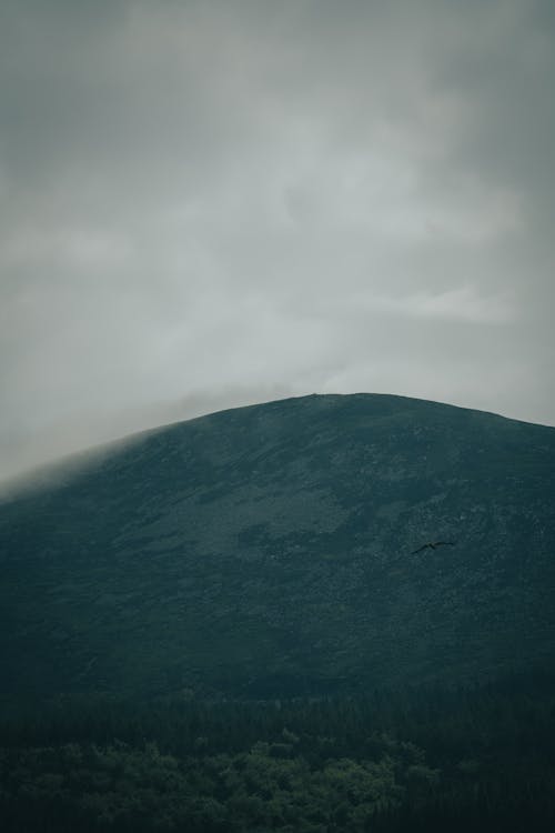 buğulu, çevre, dağ içeren Ücretsiz stok fotoğraf