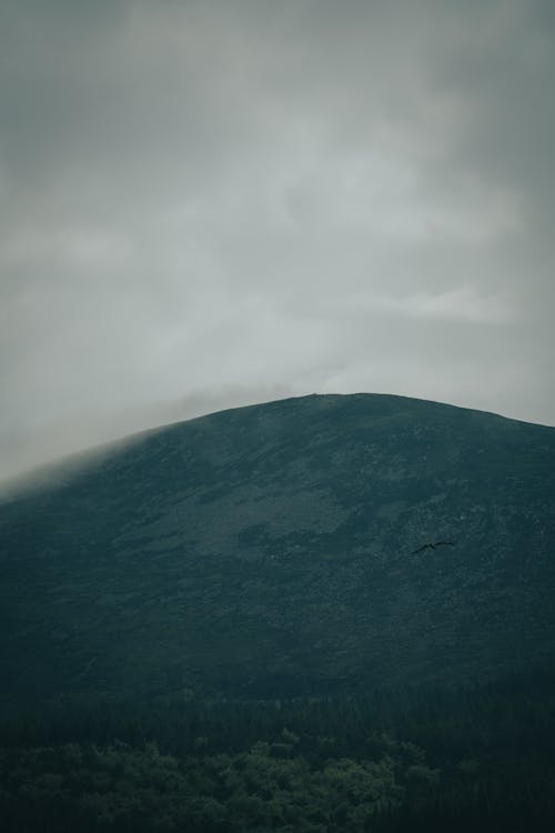 Mountain Covered in Fog 