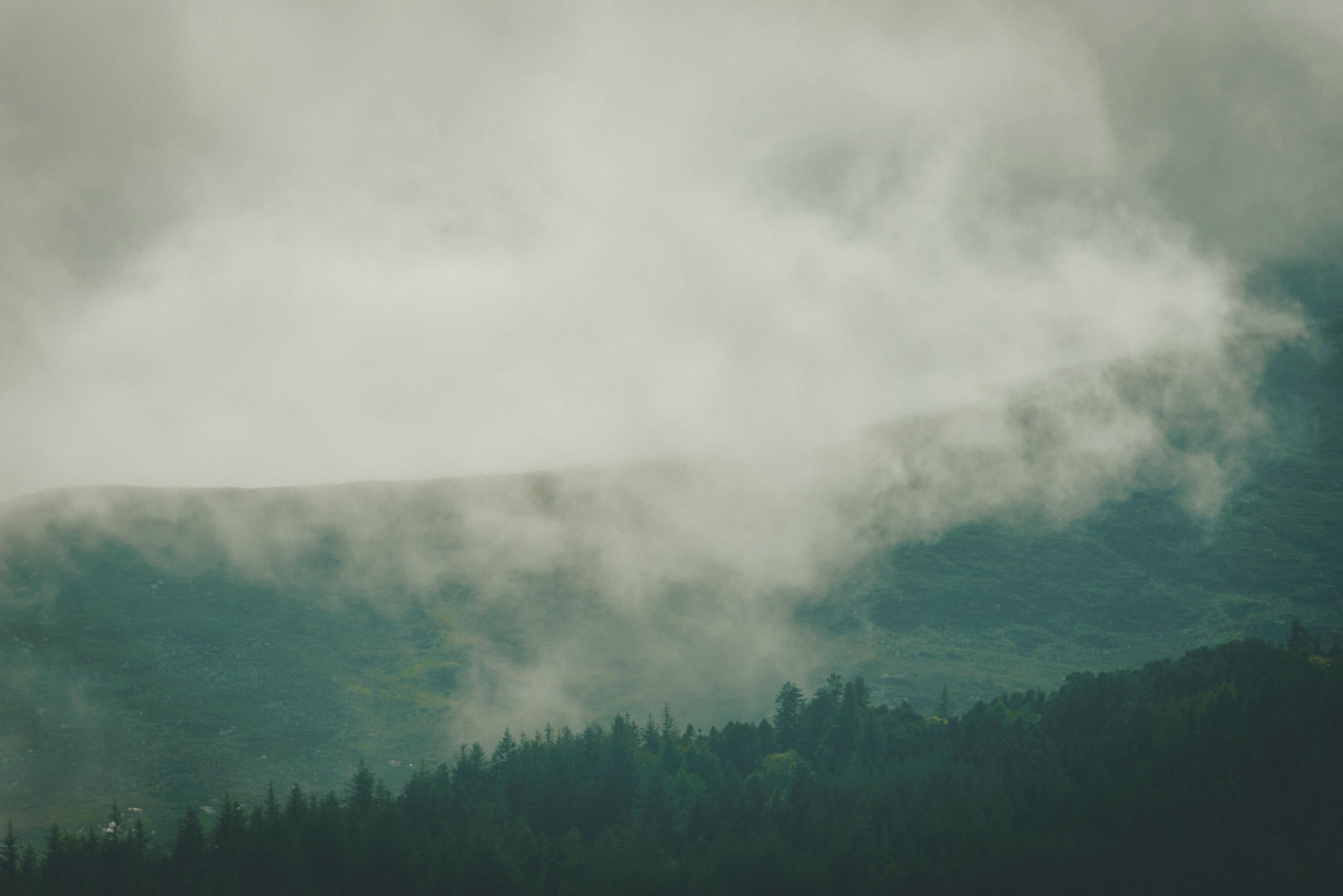Thick Fog over the Mountain Forest · Free Stock Photo