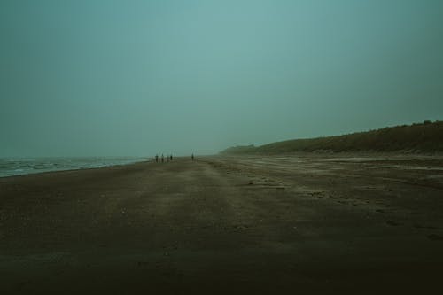 免费 壞心情, 岸邊, 有薄霧的 的 免费素材图片 素材图片