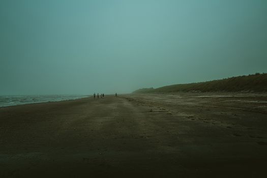 People walking along a misty, deserted beach with a moody atmosphere.
