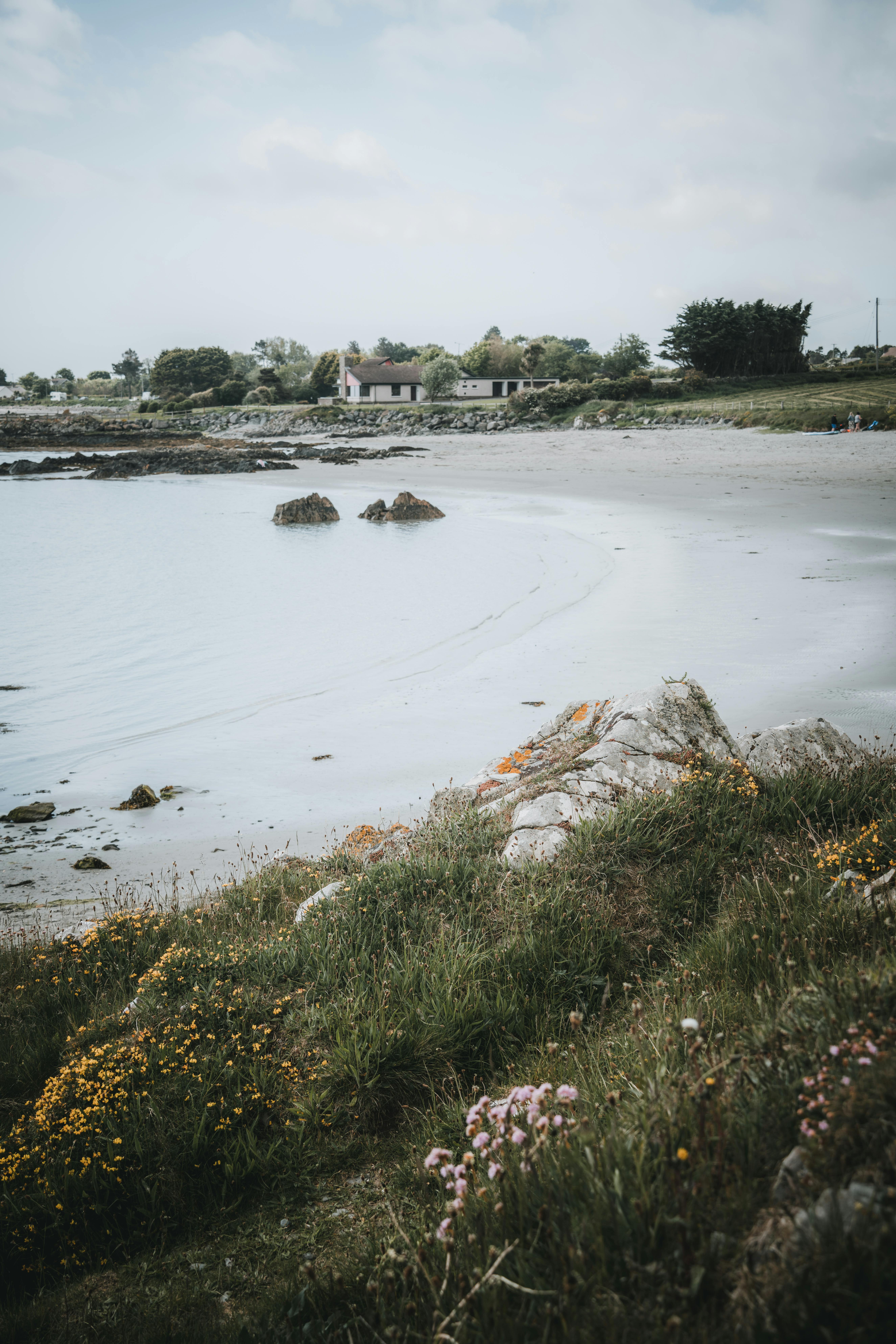 Tranquil beach scene with flowers, rocks, and distant cottage creating a serene atmosphere.