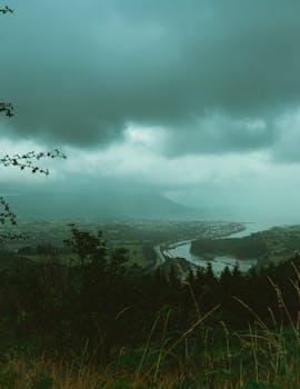 A foggy, mist-covered coastal landscape with dramatic clouds and lush greenery.