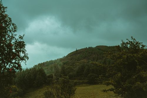 Free Lush green hilltop surrounded by dense forest under a cloudy sky, creating a moody atmosphere. Stock Photo