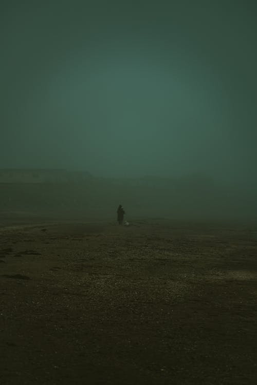 Person Standing on Brown Field