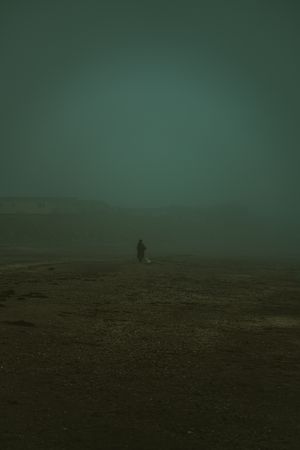 A lone figure in a misty field at dusk. Photo by Juan Solis on Pexels