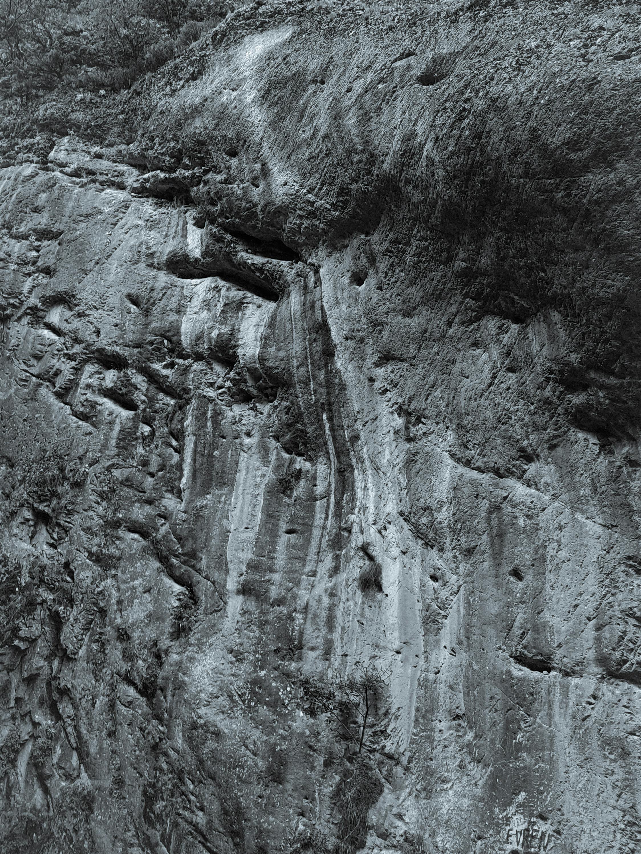 Detailed close-up of a rough, textured rock wall, showcasing natural erosion patterns.