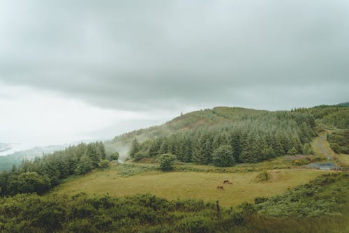 天性, 山区, 有薄霧的 的 免费素材图片