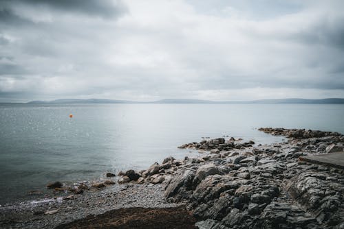 Rocks on the  Beach Shore