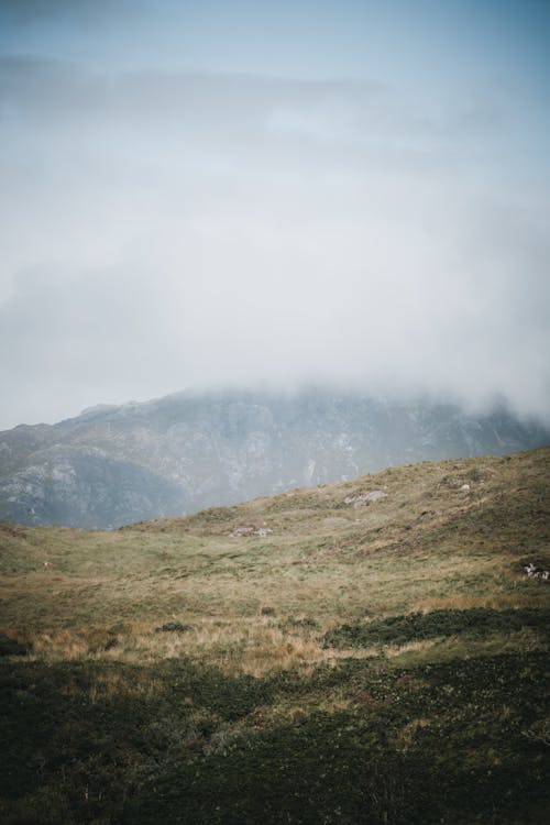 天性, 山區, 有薄霧的 的 免費圖庫相片