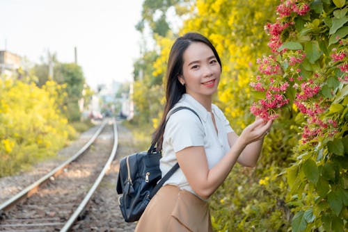 下落, 公園, 夏天 的 免费素材图片