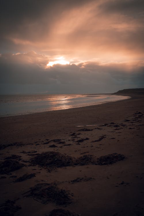 Scenic View of Sea during Dawn 