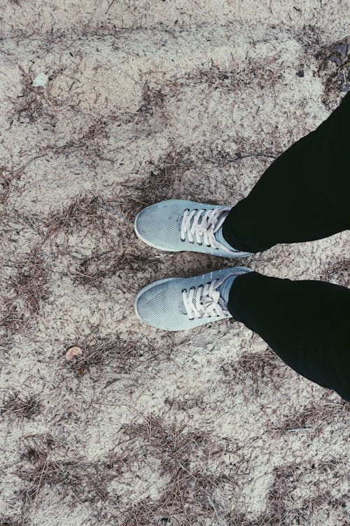 Free Person in Black Pants and Pair of Blue Sneakers Stock Photo