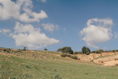 Green Grass Field Under Blue Sky and White Clouds