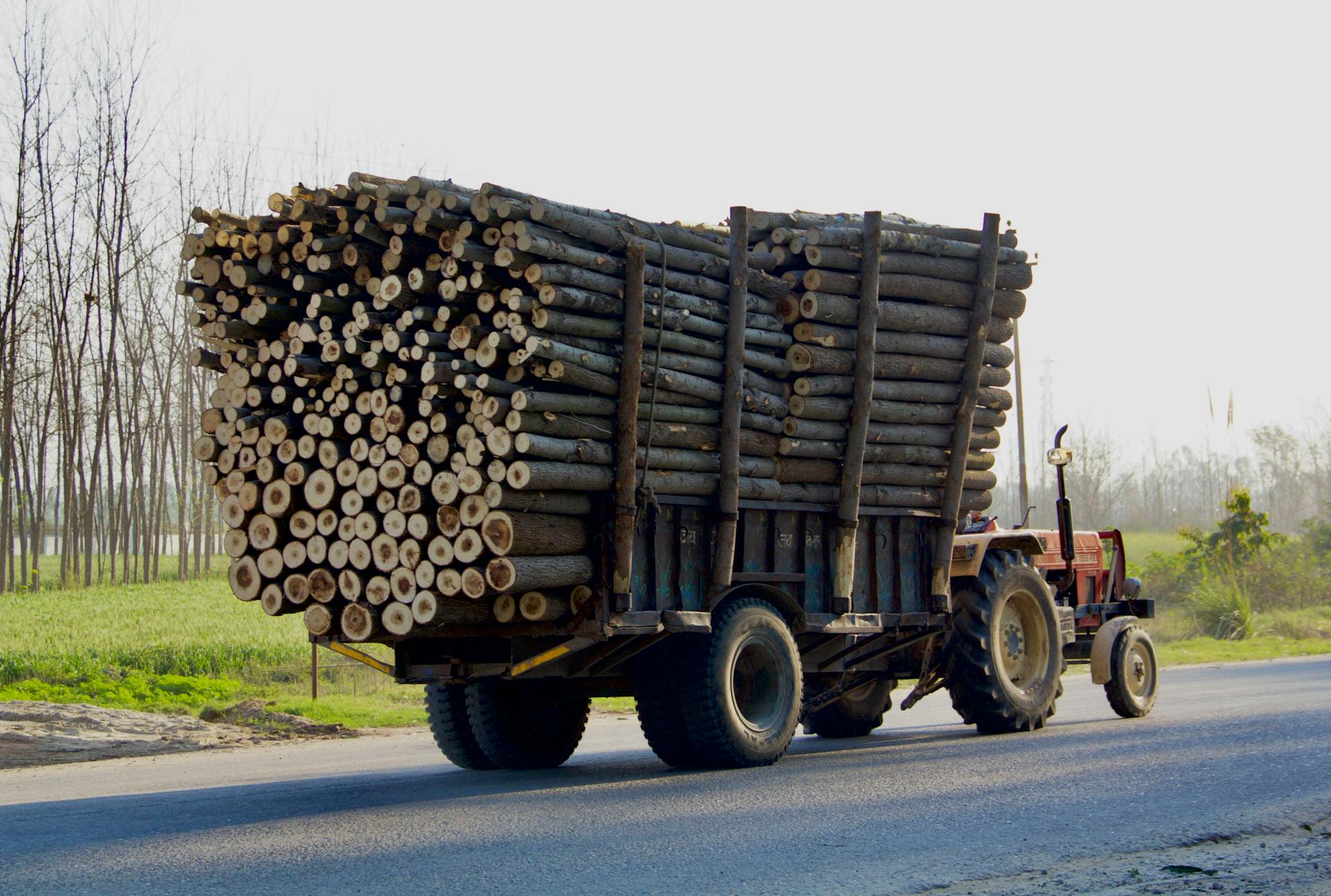 A tractor transporting a large load of wood logs on a road through a rural area, illustrating logging activities.