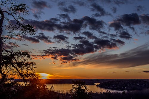 スウェーデン, ストックホルム, 美しい夕日の無料の写真素材