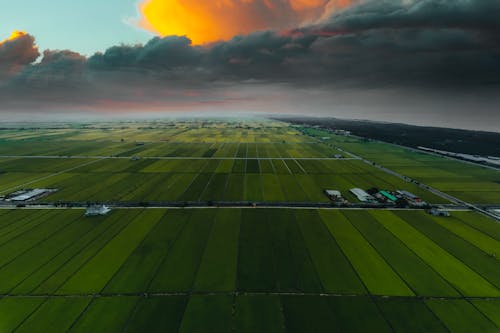 多雲的天空, 林場, 無人機攝影 的 免費圖庫相片