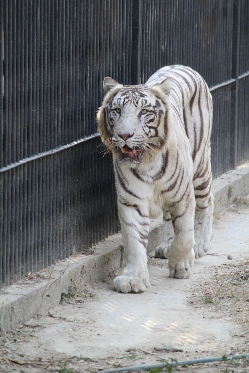 Photography by Akshay Kumar — image 9